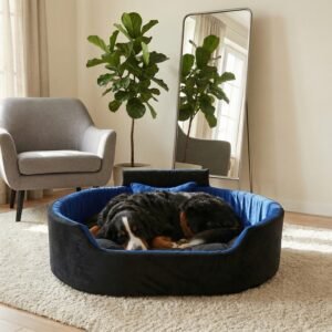dog bed, premium dog bed, orthopedic dog bed, soft dog bed, pet bed for dogs, comfortable dog bed, washable dog bed, dog bed with cushion, premium orthopedic dog bed for large dogs, soft and comfortable dog bed with cushion, durable dog bed with PU foam support, luxury pet bed for small and medium dogs, breathable dog bed for summer and winter, stylish modern dog bed for home, lightweight dog bed easy to carry, dog bed with bone shape pillow, buy dog bed online India, best dog bed for home use, affordable premium dog bed, high quality pet bed India, dog bed under budget, cozy dog bed, luxury pet comfort bed, soft plush dog bed, designer dog bed, pet sleeping bed, dog sofa bed, dog lounger bed, pet sofa bed, round dog bed, donut dog bed, calming dog bed, anti anxiety dog bed, raised edge dog bed, bolster dog bed, dog bed with side support, dog bed with high walls, puppy bed, small dog bed, medium dog bed, large dog bed, extra large dog bed, indoor dog bed, home pet bed, dog sleeping cushion, thick padded dog bed, fluffy dog bed, soft foam dog bed, PU foam dog bed, fiber filled dog bed, eco friendly dog bed, skin friendly dog bed, hypoallergenic dog bed, non toxic pet bed, durable pet bedding, long lasting dog bed, tear resistant dog bed, chew resistant dog bed, easy to clean dog bed, machine washable pet bed, removable cover dog bed, portable dog bed, travel dog bed, foldable dog bed, lightweight pet bed, luxury dog sofa, premium pet mattress, designer pet furniture, modern pet bed, aesthetic dog bed, comfortable pet mattress, pet relaxation bed, cozy pet nest, warm dog bed for winter, cool breathable dog bed for summer, all season dog bed, anti slip base dog bed, waterproof dog bed, indoor luxury pet bed, dog bed for crate, dog bed for living room, pet accessories dog bed, best selling dog bed, trending pet products, affordable pet bedding India, online pet supplies India