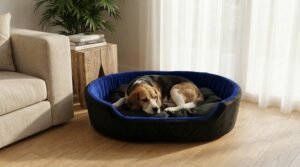 dog bed, premium dog bed, orthopedic dog bed, soft dog bed, pet bed for dogs, comfortable dog bed, washable dog bed, dog bed with cushion, premium orthopedic dog bed for large dogs, soft and comfortable dog bed with cushion, durable dog bed with PU foam support, luxury pet bed for small and medium dogs, breathable dog bed for summer and winter, stylish modern dog bed for home, lightweight dog bed easy to carry, dog bed with bone shape pillow, buy dog bed online India, best dog bed for home use, affordable premium dog bed, high quality pet bed India, dog bed under budget, cozy dog bed, luxury pet comfort bed, soft plush dog bed, designer dog bed, pet sleeping bed, dog sofa bed, dog lounger bed, pet sofa bed, round dog bed, donut dog bed, calming dog bed, anti anxiety dog bed, raised edge dog bed, bolster dog bed, dog bed with side support, dog bed with high walls, puppy bed, small dog bed, medium dog bed, large dog bed, extra large dog bed, indoor dog bed, home pet bed, dog sleeping cushion, thick padded dog bed, fluffy dog bed, soft foam dog bed, PU foam dog bed, fiber filled dog bed, eco friendly dog bed, skin friendly dog bed, hypoallergenic dog bed, non toxic pet bed, durable pet bedding, long lasting dog bed, tear resistant dog bed, chew resistant dog bed, easy to clean dog bed, machine washable pet bed, removable cover dog bed, portable dog bed, travel dog bed, foldable dog bed, lightweight pet bed, luxury dog sofa, premium pet mattress, designer pet furniture, modern pet bed, aesthetic dog bed, comfortable pet mattress, pet relaxation bed, cozy pet nest, warm dog bed for winter, cool breathable dog bed for summer, all season dog bed, anti slip base dog bed, waterproof dog bed, indoor luxury pet bed, dog bed for crate, dog bed for living room, pet accessories dog bed, best selling dog bed, trending pet products, affordable pet bedding India, online pet supplies India