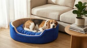 dog bed, premium dog bed, orthopedic dog bed, soft dog bed, pet bed for dogs, comfortable dog bed, washable dog bed, dog bed with cushion, premium orthopedic dog bed for large dogs, soft and comfortable dog bed with cushion, durable dog bed with PU foam support, luxury pet bed for small and medium dogs, breathable dog bed for summer and winter, stylish modern dog bed for home, lightweight dog bed easy to carry, dog bed with bone shape pillow, buy dog bed online India, best dog bed for home use, affordable premium dog bed, high quality pet bed India, dog bed under budget, cozy dog bed, luxury pet comfort bed, soft plush dog bed, designer dog bed, pet sleeping bed, dog sofa bed, dog lounger bed, pet sofa bed, round dog bed, donut dog bed, calming dog bed, anti anxiety dog bed, raised edge dog bed, bolster dog bed, dog bed with side support, dog bed with high walls, puppy bed, small dog bed, medium dog bed, large dog bed, extra large dog bed, indoor dog bed, home pet bed, dog sleeping cushion, thick padded dog bed, fluffy dog bed, soft foam dog bed, PU foam dog bed, fiber filled dog bed, eco friendly dog bed, skin friendly dog bed, hypoallergenic dog bed, non toxic pet bed, durable pet bedding, long lasting dog bed, tear resistant dog bed, chew resistant dog bed, easy to clean dog bed, machine washable pet bed, removable cover dog bed, portable dog bed, travel dog bed, foldable dog bed, lightweight pet bed, luxury dog sofa, premium pet mattress, designer pet furniture, modern pet bed, aesthetic dog bed, comfortable pet mattress, pet relaxation bed, cozy pet nest, warm dog bed for winter, cool breathable dog bed for summer, all season dog bed, anti slip base dog bed, waterproof dog bed, indoor luxury pet bed, dog bed for crate, dog bed for living room, pet accessories dog bed, best selling dog bed, trending pet products, affordable pet bedding India, online pet supplies India