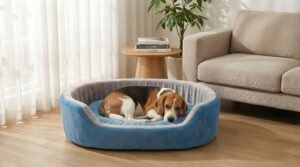 dog bed, premium dog bed, orthopedic dog bed, soft dog bed, pet bed for dogs, comfortable dog bed, washable dog bed, dog bed with cushion, premium orthopedic dog bed for large dogs, soft and comfortable dog bed with cushion, durable dog bed with PU foam support, luxury pet bed for small and medium dogs, breathable dog bed for summer and winter, stylish modern dog bed for home, lightweight dog bed easy to carry, dog bed with bone shape pillow, buy dog bed online India, best dog bed for home use, affordable premium dog bed, high quality pet bed India, dog bed under budget, cozy dog bed, luxury pet comfort bed, soft plush dog bed, designer dog bed, pet sleeping bed, dog sofa bed, dog lounger bed, pet sofa bed, round dog bed, donut dog bed, calming dog bed, anti anxiety dog bed, raised edge dog bed, bolster dog bed, dog bed with side support, dog bed with high walls, puppy bed, small dog bed, medium dog bed, large dog bed, extra large dog bed, indoor dog bed, home pet bed, dog sleeping cushion, thick padded dog bed, fluffy dog bed, soft foam dog bed, PU foam dog bed, fiber filled dog bed, eco friendly dog bed, skin friendly dog bed, hypoallergenic dog bed, non toxic pet bed, durable pet bedding, long lasting dog bed, tear resistant dog bed, chew resistant dog bed, easy to clean dog bed, machine washable pet bed, removable cover dog bed, portable dog bed, travel dog bed, foldable dog bed, lightweight pet bed, luxury dog sofa, premium pet mattress, designer pet furniture, modern pet bed, aesthetic dog bed, comfortable pet mattress, pet relaxation bed, cozy pet nest, warm dog bed for winter, cool breathable dog bed for summer, all season dog bed, anti slip base dog bed, waterproof dog bed, indoor luxury pet bed, dog bed for crate, dog bed for living room, pet accessories dog bed, best selling dog bed, trending pet products, affordable pet bedding India, online pet supplies India