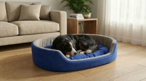 dog bed, premium dog bed, orthopedic dog bed, soft dog bed, pet bed for dogs, comfortable dog bed, washable dog bed, dog bed with cushion, premium orthopedic dog bed for large dogs, soft and comfortable dog bed with cushion, durable dog bed with PU foam support, luxury pet bed for small and medium dogs, breathable dog bed for summer and winter, stylish modern dog bed for home, lightweight dog bed easy to carry, dog bed with bone shape pillow, buy dog bed online India, best dog bed for home use, affordable premium dog bed, high quality pet bed India, dog bed under budget, cozy dog bed, luxury pet comfort bed, soft plush dog bed, designer dog bed, pet sleeping bed, dog sofa bed, dog lounger bed, pet sofa bed, round dog bed, donut dog bed, calming dog bed, anti anxiety dog bed, raised edge dog bed, bolster dog bed, dog bed with side support, dog bed with high walls, puppy bed, small dog bed, medium dog bed, large dog bed, extra large dog bed, indoor dog bed, home pet bed, dog sleeping cushion, thick padded dog bed, fluffy dog bed, soft foam dog bed, PU foam dog bed, fiber filled dog bed, eco friendly dog bed, skin friendly dog bed, hypoallergenic dog bed, non toxic pet bed, durable pet bedding, long lasting dog bed, tear resistant dog bed, chew resistant dog bed, easy to clean dog bed, machine washable pet bed, removable cover dog bed, portable dog bed, travel dog bed, foldable dog bed, lightweight pet bed, luxury dog sofa, premium pet mattress, designer pet furniture, modern pet bed, aesthetic dog bed, comfortable pet mattress, pet relaxation bed, cozy pet nest, warm dog bed for winter, cool breathable dog bed for summer, all season dog bed, anti slip base dog bed, waterproof dog bed, indoor luxury pet bed, dog bed for crate, dog bed for living room, pet accessories dog bed, best selling dog bed, trending pet products, affordable pet bedding India, online pet supplies India