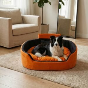dog bed, premium dog bed, orthopedic dog bed, soft dog bed, pet bed for dogs, comfortable dog bed, washable dog bed, dog bed with cushion, premium orthopedic dog bed for large dogs, soft and comfortable dog bed with cushion, durable dog bed with PU foam support, luxury pet bed for small and medium dogs, breathable dog bed for summer and winter, stylish modern dog bed for home, lightweight dog bed easy to carry, dog bed with bone shape pillow, buy dog bed online India, best dog bed for home use, affordable premium dog bed, high quality pet bed India, dog bed under budget, cozy dog bed, luxury pet comfort bed, soft plush dog bed, designer dog bed, pet sleeping bed, dog sofa bed, dog lounger bed, pet sofa bed, round dog bed, donut dog bed, calming dog bed, anti anxiety dog bed, raised edge dog bed, bolster dog bed, dog bed with side support, dog bed with high walls, puppy bed, small dog bed, medium dog bed, large dog bed, extra large dog bed, indoor dog bed, home pet bed, dog sleeping cushion, thick padded dog bed, fluffy dog bed, soft foam dog bed, PU foam dog bed, fiber filled dog bed, eco friendly dog bed, skin friendly dog bed, hypoallergenic dog bed, non toxic pet bed, durable pet bedding, long lasting dog bed, tear resistant dog bed, chew resistant dog bed, easy to clean dog bed, machine washable pet bed, removable cover dog bed, portable dog bed, travel dog bed, foldable dog bed, lightweight pet bed, luxury dog sofa, premium pet mattress, designer pet furniture, modern pet bed, aesthetic dog bed, comfortable pet mattress, pet relaxation bed, cozy pet nest, warm dog bed for winter, cool breathable dog bed for summer, all season dog bed, anti slip base dog bed, waterproof dog bed, indoor luxury pet bed, dog bed for crate, dog bed for living room, pet accessories dog bed, best selling dog bed, trending pet products, affordable pet bedding India, online pet supplies India