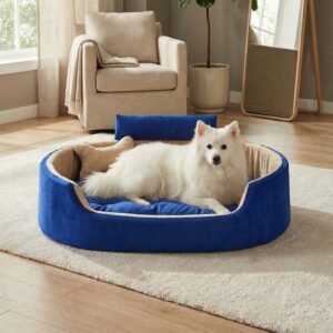 dog bed, premium dog bed, orthopedic dog bed, soft dog bed, pet bed for dogs, comfortable dog bed, washable dog bed, dog bed with cushion, premium orthopedic dog bed for large dogs, soft and comfortable dog bed with cushion, durable dog bed with PU foam support, luxury pet bed for small and medium dogs, breathable dog bed for summer and winter, stylish modern dog bed for home, lightweight dog bed easy to carry, dog bed with bone shape pillow, buy dog bed online India, best dog bed for home use, affordable premium dog bed, high quality pet bed India, dog bed under budget, cozy dog bed, luxury pet comfort bed, soft plush dog bed, designer dog bed, pet sleeping bed, dog sofa bed, dog lounger bed, pet sofa bed, round dog bed, donut dog bed, calming dog bed, anti anxiety dog bed, raised edge dog bed, bolster dog bed, dog bed with side support, dog bed with high walls, puppy bed, small dog bed, medium dog bed, large dog bed, extra large dog bed, indoor dog bed, home pet bed, dog sleeping cushion, thick padded dog bed, fluffy dog bed, soft foam dog bed, PU foam dog bed, fiber filled dog bed, eco friendly dog bed, skin friendly dog bed, hypoallergenic dog bed, non toxic pet bed, durable pet bedding, long lasting dog bed, tear resistant dog bed, chew resistant dog bed, easy to clean dog bed, machine washable pet bed, removable cover dog bed, portable dog bed, travel dog bed, foldable dog bed, lightweight pet bed, luxury dog sofa, premium pet mattress, designer pet furniture, modern pet bed, aesthetic dog bed, comfortable pet mattress, pet relaxation bed, cozy pet nest, warm dog bed for winter, cool breathable dog bed for summer, all season dog bed, anti slip base dog bed, waterproof dog bed, indoor luxury pet bed, dog bed for crate, dog bed for living room, pet accessories dog bed, best selling dog bed, trending pet products, affordable pet bedding India, online pet supplies India