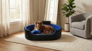 dog bed, premium dog bed, orthopedic dog bed, soft dog bed, pet bed for dogs, comfortable dog bed, washable dog bed, dog bed with cushion, premium orthopedic dog bed for large dogs, soft and comfortable dog bed with cushion, durable dog bed with PU foam support, luxury pet bed for small and medium dogs, breathable dog bed for summer and winter, stylish modern dog bed for home, lightweight dog bed easy to carry, dog bed with bone shape pillow, buy dog bed online India, best dog bed for home use, affordable premium dog bed, high quality pet bed India, dog bed under budget, cozy dog bed, luxury pet comfort bed, soft plush dog bed, designer dog bed, pet sleeping bed, dog sofa bed, dog lounger bed, pet sofa bed, round dog bed, donut dog bed, calming dog bed, anti anxiety dog bed, raised edge dog bed, bolster dog bed, dog bed with side support, dog bed with high walls, puppy bed, small dog bed, medium dog bed, large dog bed, extra large dog bed, indoor dog bed, home pet bed, dog sleeping cushion, thick padded dog bed, fluffy dog bed, soft foam dog bed, PU foam dog bed, fiber filled dog bed, eco friendly dog bed, skin friendly dog bed, hypoallergenic dog bed, non toxic pet bed, durable pet bedding, long lasting dog bed, tear resistant dog bed, chew resistant dog bed, easy to clean dog bed, machine washable pet bed, removable cover dog bed, portable dog bed, travel dog bed, foldable dog bed, lightweight pet bed, luxury dog sofa, premium pet mattress, designer pet furniture, modern pet bed, aesthetic dog bed, comfortable pet mattress, pet relaxation bed, cozy pet nest, warm dog bed for winter, cool breathable dog bed for summer, all season dog bed, anti slip base dog bed, waterproof dog bed, indoor luxury pet bed, dog bed for crate, dog bed for living room, pet accessories dog bed, best selling dog bed, trending pet products, affordable pet bedding India, online pet supplies India