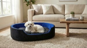 dog bed, premium dog bed, orthopedic dog bed, soft dog bed, pet bed for dogs, comfortable dog bed, washable dog bed, dog bed with cushion, premium orthopedic dog bed for large dogs, soft and comfortable dog bed with cushion, durable dog bed with PU foam support, luxury pet bed for small and medium dogs, breathable dog bed for summer and winter, stylish modern dog bed for home, lightweight dog bed easy to carry, dog bed with bone shape pillow, buy dog bed online India, best dog bed for home use, affordable premium dog bed, high quality pet bed India, dog bed under budget, cozy dog bed, luxury pet comfort bed, soft plush dog bed, designer dog bed, pet sleeping bed, dog sofa bed, dog lounger bed, pet sofa bed, round dog bed, donut dog bed, calming dog bed, anti anxiety dog bed, raised edge dog bed, bolster dog bed, dog bed with side support, dog bed with high walls, puppy bed, small dog bed, medium dog bed, large dog bed, extra large dog bed, indoor dog bed, home pet bed, dog sleeping cushion, thick padded dog bed, fluffy dog bed, soft foam dog bed, PU foam dog bed, fiber filled dog bed, eco friendly dog bed, skin friendly dog bed, hypoallergenic dog bed, non toxic pet bed, durable pet bedding, long lasting dog bed, tear resistant dog bed, chew resistant dog bed, easy to clean dog bed, machine washable pet bed, removable cover dog bed, portable dog bed, travel dog bed, foldable dog bed, lightweight pet bed, luxury dog sofa, premium pet mattress, designer pet furniture, modern pet bed, aesthetic dog bed, comfortable pet mattress, pet relaxation bed, cozy pet nest, warm dog bed for winter, cool breathable dog bed for summer, all season dog bed, anti slip base dog bed, waterproof dog bed, indoor luxury pet bed, dog bed for crate, dog bed for living room, pet accessories dog bed, best selling dog bed, trending pet products, affordable pet bedding India, online pet supplies India