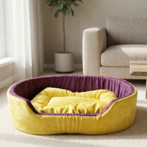 dog bed, premium dog bed, orthopedic dog bed, soft dog bed, pet bed for dogs, comfortable dog bed, washable dog bed, dog bed with cushion, premium orthopedic dog bed for large dogs, soft and comfortable dog bed with cushion, durable dog bed with PU foam support, luxury pet bed for small and medium dogs, breathable dog bed for summer and winter, stylish modern dog bed for home, lightweight dog bed easy to carry, dog bed with bone shape pillow, buy dog bed online India, best dog bed for home use, affordable premium dog bed, high quality pet bed India, dog bed under budget, cozy dog bed, luxury pet comfort bed, soft plush dog bed, designer dog bed, pet sleeping bed, dog sofa bed, dog lounger bed, pet sofa bed, round dog bed, donut dog bed, calming dog bed, anti anxiety dog bed, raised edge dog bed, bolster dog bed, dog bed with side support, dog bed with high walls, puppy bed, small dog bed, medium dog bed, large dog bed, extra large dog bed, indoor dog bed, home pet bed, dog sleeping cushion, thick padded dog bed, fluffy dog bed, soft foam dog bed, PU foam dog bed, fiber filled dog bed, eco friendly dog bed, skin friendly dog bed, hypoallergenic dog bed, non toxic pet bed, durable pet bedding, long lasting dog bed, tear resistant dog bed, chew resistant dog bed, easy to clean dog bed, machine washable pet bed, removable cover dog bed, portable dog bed, travel dog bed, foldable dog bed, lightweight pet bed, luxury dog sofa, premium pet mattress, designer pet furniture, modern pet bed, aesthetic dog bed, comfortable pet mattress, pet relaxation bed, cozy pet nest, warm dog bed for winter, cool breathable dog bed for summer, all season dog bed, anti slip base dog bed, waterproof dog bed, indoor luxury pet bed, dog bed for crate, dog bed for living room, pet accessories dog bed, best selling dog bed, trending pet products, affordable pet bedding India, online pet supplies India