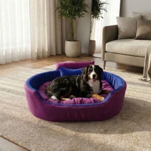 dog bed, premium dog bed, orthopedic dog bed, soft dog bed, pet bed for dogs, comfortable dog bed, washable dog bed, dog bed with cushion, premium orthopedic dog bed for large dogs, soft and comfortable dog bed with cushion, durable dog bed with PU foam support, luxury pet bed for small and medium dogs, breathable dog bed for summer and winter, stylish modern dog bed for home, lightweight dog bed easy to carry, dog bed with bone shape pillow, buy dog bed online India, best dog bed for home use, affordable premium dog bed, high quality pet bed India, dog bed under budget, cozy dog bed, luxury pet comfort bed, soft plush dog bed, designer dog bed, pet sleeping bed, dog sofa bed, dog lounger bed, pet sofa bed, round dog bed, donut dog bed, calming dog bed, anti anxiety dog bed, raised edge dog bed, bolster dog bed, dog bed with side support, dog bed with high walls, puppy bed, small dog bed, medium dog bed, large dog bed, extra large dog bed, indoor dog bed, home pet bed, dog sleeping cushion, thick padded dog bed, fluffy dog bed, soft foam dog bed, PU foam dog bed, fiber filled dog bed, eco friendly dog bed, skin friendly dog bed, hypoallergenic dog bed, non toxic pet bed, durable pet bedding, long lasting dog bed, tear resistant dog bed, chew resistant dog bed, easy to clean dog bed, machine washable pet bed, removable cover dog bed, portable dog bed, travel dog bed, foldable dog bed, lightweight pet bed, luxury dog sofa, premium pet mattress, designer pet furniture, modern pet bed, aesthetic dog bed, comfortable pet mattress, pet relaxation bed, cozy pet nest, warm dog bed for winter, cool breathable dog bed for summer, all season dog bed, anti slip base dog bed, waterproof dog bed, indoor luxury pet bed, dog bed for crate, dog bed for living room, pet accessories dog bed, best selling dog bed, trending pet products, affordable pet bedding India, online pet supplies India
