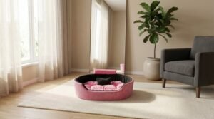 dog bed, premium dog bed, orthopedic dog bed, soft dog bed, pet bed for dogs, comfortable dog bed, washable dog bed, dog bed with cushion, premium orthopedic dog bed for large dogs, soft and comfortable dog bed with cushion, durable dog bed with PU foam support, luxury pet bed for small and medium dogs, breathable dog bed for summer and winter, stylish modern dog bed for home, lightweight dog bed easy to carry, dog bed with bone shape pillow, buy dog bed online India, best dog bed for home use, affordable premium dog bed, high quality pet bed India, dog bed under budget, cozy dog bed, luxury pet comfort bed, soft plush dog bed, designer dog bed, pet sleeping bed, dog sofa bed, dog lounger bed, pet sofa bed, round dog bed, donut dog bed, calming dog bed, anti anxiety dog bed, raised edge dog bed, bolster dog bed, dog bed with side support, dog bed with high walls, puppy bed, small dog bed, medium dog bed, large dog bed, extra large dog bed, indoor dog bed, home pet bed, dog sleeping cushion, thick padded dog bed, fluffy dog bed, soft foam dog bed, PU foam dog bed, fiber filled dog bed, eco friendly dog bed, skin friendly dog bed, hypoallergenic dog bed, non toxic pet bed, durable pet bedding, long lasting dog bed, tear resistant dog bed, chew resistant dog bed, easy to clean dog bed, machine washable pet bed, removable cover dog bed, portable dog bed, travel dog bed, foldable dog bed, lightweight pet bed, luxury dog sofa, premium pet mattress, designer pet furniture, modern pet bed, aesthetic dog bed, comfortable pet mattress, pet relaxation bed, cozy pet nest, warm dog bed for winter, cool breathable dog bed for summer, all season dog bed, anti slip base dog bed, waterproof dog bed, indoor luxury pet bed, dog bed for crate, dog bed for living room, pet accessories dog bed, best selling dog bed, trending pet products, affordable pet bedding India, online pet supplies India