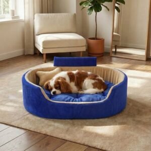 dog bed, premium dog bed, orthopedic dog bed, soft dog bed, pet bed for dogs, comfortable dog bed, washable dog bed, dog bed with cushion, premium orthopedic dog bed for large dogs, soft and comfortable dog bed with cushion, durable dog bed with PU foam support, luxury pet bed for small and medium dogs, breathable dog bed for summer and winter, stylish modern dog bed for home, lightweight dog bed easy to carry, dog bed with bone shape pillow, buy dog bed online India, best dog bed for home use, affordable premium dog bed, high quality pet bed India, dog bed under budget, cozy dog bed, luxury pet comfort bed, soft plush dog bed, designer dog bed, pet sleeping bed, dog sofa bed, dog lounger bed, pet sofa bed, round dog bed, donut dog bed, calming dog bed, anti anxiety dog bed, raised edge dog bed, bolster dog bed, dog bed with side support, dog bed with high walls, puppy bed, small dog bed, medium dog bed, large dog bed, extra large dog bed, indoor dog bed, home pet bed, dog sleeping cushion, thick padded dog bed, fluffy dog bed, soft foam dog bed, PU foam dog bed, fiber filled dog bed, eco friendly dog bed, skin friendly dog bed, hypoallergenic dog bed, non toxic pet bed, durable pet bedding, long lasting dog bed, tear resistant dog bed, chew resistant dog bed, easy to clean dog bed, machine washable pet bed, removable cover dog bed, portable dog bed, travel dog bed, foldable dog bed, lightweight pet bed, luxury dog sofa, premium pet mattress, designer pet furniture, modern pet bed, aesthetic dog bed, comfortable pet mattress, pet relaxation bed, cozy pet nest, warm dog bed for winter, cool breathable dog bed for summer, all season dog bed, anti slip base dog bed, waterproof dog bed, indoor luxury pet bed, dog bed for crate, dog bed for living room, pet accessories dog bed, best selling dog bed, trending pet products, affordable pet bedding India, online pet supplies India