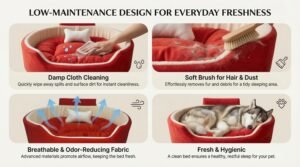 dog bed, premium dog bed, orthopedic dog bed, soft dog bed, pet bed for dogs, comfortable dog bed, washable dog bed, dog bed with cushion, premium orthopedic dog bed for large dogs, soft and comfortable dog bed with cushion, durable dog bed with PU foam support, luxury pet bed for small and medium dogs, breathable dog bed for summer and winter, stylish modern dog bed for home, lightweight dog bed easy to carry, dog bed with bone shape pillow, buy dog bed online India, best dog bed for home use, affordable premium dog bed, high quality pet bed India, dog bed under budget, cozy dog bed, luxury pet comfort bed, soft plush dog bed, designer dog bed, pet sleeping bed, dog sofa bed, dog lounger bed, pet sofa bed, round dog bed, donut dog bed, calming dog bed, anti anxiety dog bed, raised edge dog bed, bolster dog bed, dog bed with side support, dog bed with high walls, puppy bed, small dog bed, medium dog bed, large dog bed, extra large dog bed, indoor dog bed, home pet bed, dog sleeping cushion, thick padded dog bed, fluffy dog bed, soft foam dog bed, PU foam dog bed, fiber filled dog bed, eco friendly dog bed, skin friendly dog bed, hypoallergenic dog bed, non toxic pet bed, durable pet bedding, long lasting dog bed, tear resistant dog bed, chew resistant dog bed, easy to clean dog bed, machine washable pet bed, removable cover dog bed, portable dog bed, travel dog bed, foldable dog bed, lightweight pet bed, luxury dog sofa, premium pet mattress, designer pet furniture, modern pet bed, aesthetic dog bed, comfortable pet mattress, pet relaxation bed, cozy pet nest, warm dog bed for winter, cool breathable dog bed for summer, all season dog bed, anti slip base dog bed, waterproof dog bed, indoor luxury pet bed, dog bed for crate, dog bed for living room, pet accessories dog bed, best selling dog bed, trending pet products, affordable pet bedding India, online pet supplies India