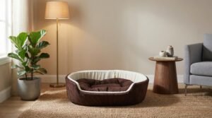 dog bed, premium dog bed, orthopedic dog bed, soft dog bed, pet bed for dogs, comfortable dog bed, washable dog bed, dog bed with cushion, premium orthopedic dog bed for large dogs, soft and comfortable dog bed with cushion, durable dog bed with PU foam support, luxury pet bed for small and medium dogs, breathable dog bed for summer and winter, stylish modern dog bed for home, lightweight dog bed easy to carry, dog bed with bone shape pillow, buy dog bed online India, best dog bed for home use, affordable premium dog bed, high quality pet bed India, dog bed under budget, cozy dog bed, luxury pet comfort bed, soft plush dog bed, designer dog bed, pet sleeping bed, dog sofa bed, dog lounger bed, pet sofa bed, round dog bed, donut dog bed, calming dog bed, anti anxiety dog bed, raised edge dog bed, bolster dog bed, dog bed with side support, dog bed with high walls, puppy bed, small dog bed, medium dog bed, large dog bed, extra large dog bed, indoor dog bed, home pet bed, dog sleeping cushion, thick padded dog bed, fluffy dog bed, soft foam dog bed, PU foam dog bed, fiber filled dog bed, eco friendly dog bed, skin friendly dog bed, hypoallergenic dog bed, non toxic pet bed, durable pet bedding, long lasting dog bed, tear resistant dog bed, chew resistant dog bed, easy to clean dog bed, machine washable pet bed, removable cover dog bed, portable dog bed, travel dog bed, foldable dog bed, lightweight pet bed, luxury dog sofa, premium pet mattress, designer pet furniture, modern pet bed, aesthetic dog bed, comfortable pet mattress, pet relaxation bed, cozy pet nest, warm dog bed for winter, cool breathable dog bed for summer, all season dog bed, anti slip base dog bed, waterproof dog bed, indoor luxury pet bed, dog bed for crate, dog bed for living room, pet accessories dog bed, best selling dog bed, trending pet products, affordable pet bedding India, online pet supplies India