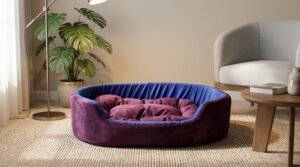 dog bed, premium dog bed, orthopedic dog bed, soft dog bed, pet bed for dogs, comfortable dog bed, washable dog bed, dog bed with cushion, premium orthopedic dog bed for large dogs, soft and comfortable dog bed with cushion, durable dog bed with PU foam support, luxury pet bed for small and medium dogs, breathable dog bed for summer and winter, stylish modern dog bed for home, lightweight dog bed easy to carry, dog bed with bone shape pillow, buy dog bed online India, best dog bed for home use, affordable premium dog bed, high quality pet bed India, dog bed under budget, cozy dog bed, luxury pet comfort bed, soft plush dog bed, designer dog bed, pet sleeping bed, dog sofa bed, dog lounger bed, pet sofa bed, round dog bed, donut dog bed, calming dog bed, anti anxiety dog bed, raised edge dog bed, bolster dog bed, dog bed with side support, dog bed with high walls, puppy bed, small dog bed, medium dog bed, large dog bed, extra large dog bed, indoor dog bed, home pet bed, dog sleeping cushion, thick padded dog bed, fluffy dog bed, soft foam dog bed, PU foam dog bed, fiber filled dog bed, eco friendly dog bed, skin friendly dog bed, hypoallergenic dog bed, non toxic pet bed, durable pet bedding, long lasting dog bed, tear resistant dog bed, chew resistant dog bed, easy to clean dog bed, machine washable pet bed, removable cover dog bed, portable dog bed, travel dog bed, foldable dog bed, lightweight pet bed, luxury dog sofa, premium pet mattress, designer pet furniture, modern pet bed, aesthetic dog bed, comfortable pet mattress, pet relaxation bed, cozy pet nest, warm dog bed for winter, cool breathable dog bed for summer, all season dog bed, anti slip base dog bed, waterproof dog bed, indoor luxury pet bed, dog bed for crate, dog bed for living room, pet accessories dog bed, best selling dog bed, trending pet products, affordable pet bedding India, online pet supplies India
