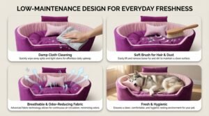 dog bed, premium dog bed, orthopedic dog bed, soft dog bed, pet bed for dogs, comfortable dog bed, washable dog bed, dog bed with cushion, premium orthopedic dog bed for large dogs, soft and comfortable dog bed with cushion, durable dog bed with PU foam support, luxury pet bed for small and medium dogs, breathable dog bed for summer and winter, stylish modern dog bed for home, lightweight dog bed easy to carry, dog bed with bone shape pillow, buy dog bed online India, best dog bed for home use, affordable premium dog bed, high quality pet bed India, dog bed under budget, cozy dog bed, luxury pet comfort bed, soft plush dog bed, designer dog bed, pet sleeping bed, dog sofa bed, dog lounger bed, pet sofa bed, round dog bed, donut dog bed, calming dog bed, anti anxiety dog bed, raised edge dog bed, bolster dog bed, dog bed with side support, dog bed with high walls, puppy bed, small dog bed, medium dog bed, large dog bed, extra large dog bed, indoor dog bed, home pet bed, dog sleeping cushion, thick padded dog bed, fluffy dog bed, soft foam dog bed, PU foam dog bed, fiber filled dog bed, eco friendly dog bed, skin friendly dog bed, hypoallergenic dog bed, non toxic pet bed, durable pet bedding, long lasting dog bed, tear resistant dog bed, chew resistant dog bed, easy to clean dog bed, machine washable pet bed, removable cover dog bed, portable dog bed, travel dog bed, foldable dog bed, lightweight pet bed, luxury dog sofa, premium pet mattress, designer pet furniture, modern pet bed, aesthetic dog bed, comfortable pet mattress, pet relaxation bed, cozy pet nest, warm dog bed for winter, cool breathable dog bed for summer, all season dog bed, anti slip base dog bed, waterproof dog bed, indoor luxury pet bed, dog bed for crate, dog bed for living room, pet accessories dog bed, best selling dog bed, trending pet products, affordable pet bedding India, online pet supplies India