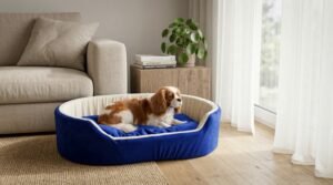 Skip to main contentSkip to toolbar About WordPress Furry Smile Live 22 updates available 00 Comments in moderation New View product Stats xstoreXStore XStore Builders Sales Booster Howdy, Ashish Kumar Edit Product Store Activity Activityunread activity Screen OptionsHelp Edit product Add new product The “ShopMagic for Twilio” plugin cannot run without ShopMagic for WooCommerce active. Please install and activate ShopMagic for WooCommerce plugin. Elementor Data Updater Database update process is running in the background. Taking a while? Product name Luxury Orthopedic Dog Bed Blue & Yellow | Soft Comfortable Pet Bed For Small, Medium And Large Dogs Skip to Editor Permalink: https://furrysmile.in/product/luxury-orthopedi…-bed-blue-yellow/ ‎Edit Edit with Elementor Product description Add Media Add Contact Form VisualCode Heading 3 h3 » span » img Word count: 823 Draft saved at 3:03:10 pm. Last edited on March 23, 2026 at 3:02 pm Move upMove downToggle panel: Publish Preview(opens in a new tab) Status: Draft EditEdit status Visibility: Public EditEdit visibility Publish on: Mar 23, 2026 at 15:02 EditEdit date and time Catalog visibility: Shop and search results Edit Copy to a new draft Move to Trash Move upMove downToggle panel: Product image Unify with Elementor AI dog bed, premium dog bed, orthopedic dog bed, soft dog bed, pet bed for dogs, comfortable dog bed, washable dog bed, dog bed with cushion, premium orthopedic dog bed for large dogs, soft and comfortable dog bed with cushion, durable dog bed with PU foam support, luxury pet bed for small and medium dogs, breathable dog bed for summer and winter, stylish modern dog bed for home, lightweight dog bed easy to carry, dog bed with bone shape pillow, buy dog bed online India, best dog bed for home use, affordable premium dog bed, high quality pet bed India, dog bed under budget, cozy dog bed, luxury pet comfort bed, soft plush dog bed, designer dog bed, pet sleeping bed, dog sofa bed, dog lounger bed, pet sofa bed, round dog bed, donut dog bed, calming dog bed, anti anxiety dog bed, raised edge dog bed, bolster dog bed, dog bed with side support, dog bed with high walls, puppy bed, small dog bed, medium dog bed, large dog bed, extra large dog bed, indoor dog bed, home pet bed, dog sleeping cushion, thick padded dog bed, fluffy dog bed, soft foam dog bed, PU foam dog bed, fiber filled dog bed, eco friendly dog bed, skin friendly dog bed, hypoallergenic dog bed, non toxic pet bed, durable pet bedding, long lasting dog bed, tear resistant dog bed, chew resistant dog bed, easy to clean dog bed, machine washable pet bed, removable cover dog bed, portable dog bed, travel dog bed, foldable dog bed, lightweight pet bed, luxury dog sofa, premium pet mattress, designer pet furniture, modern pet bed, aesthetic dog bed, comfortable pet mattress, pet relaxation bed, cozy pet nest, warm dog bed for winter, cool breathable dog bed for summer, all season dog bed, anti slip base dog bed, waterproof dog bed, indoor luxury pet bed, dog bed for crate, dog bed for living room, pet accessories dog bed, best selling dog bed, trending pet products, affordable pet bedding India, online pet supplies India Click the image to edit or update Remove product image Move upMove downToggle panel: Product gallery Unify with Elementor AI dog bed, premium dog bed, orthopedic dog bed, soft dog bed, pet bed for dogs, comfortable dog bed, washable dog bed, dog bed with cushion, premium orthopedic dog bed for large dogs, soft and comfortable dog bed with cushion, durable dog bed with PU foam support, luxury pet bed for small and medium dogs, breathable dog bed for summer and winter, stylish modern dog bed for home, lightweight dog bed easy to carry, dog bed with bone shape pillow, buy dog bed online India, best dog bed for home use, affordable premium dog bed, high quality pet bed India, dog bed under budget, cozy dog bed, luxury pet comfort bed, soft plush dog bed, designer dog bed, pet sleeping bed, dog sofa bed, dog lounger bed, pet sofa bed, round dog bed, donut dog bed, calming dog bed, anti anxiety dog bed, raised edge dog bed, bolster dog bed, dog bed with side support, dog bed with high walls, puppy bed, small dog bed, medium dog bed, large dog bed, extra large dog bed, indoor dog bed, home pet bed, dog sleeping cushion, thick padded dog bed, fluffy dog bed, soft foam dog bed, PU foam dog bed, fiber filled dog bed, eco friendly dog bed, skin friendly dog bed, hypoallergenic dog bed, non toxic pet bed, durable pet bedding, long lasting dog bed, tear resistant dog bed, chew resistant dog bed, easy to clean dog bed, machine washable pet bed, removable cover dog bed, portable dog bed, travel dog bed, foldable dog bed, lightweight pet bed, luxury dog sofa, premium pet mattress, designer pet furniture, modern pet bed, aesthetic dog bed, comfortable pet mattress, pet relaxation bed, cozy pet nest, warm dog bed for winter, cool breathable dog bed for summer, all season dog bed, anti slip base dog bed, waterproof dog bed, indoor luxury pet bed, dog bed for crate, dog bed for living room, pet accessories dog bed, best selling dog bed, trending pet products, affordable pet bedding India, online pet supplies Indiadog bed, premium dog bed, orthopedic dog bed, soft dog bed, pet bed for dogs, comfortable dog bed, washable dog bed, dog bed with cushion, premium orthopedic dog bed for large dogs, soft and comfortable dog bed with cushion, durable dog bed with PU foam support, luxury pet bed for small and medium dogs, breathable dog bed for summer and winter, stylish modern dog bed for home, lightweight dog bed easy to carry, dog bed with bone shape pillow, buy dog bed online India, best dog bed for home use, affordable premium dog bed, high quality pet bed India, dog bed under budget, cozy dog bed, luxury pet comfort bed, soft plush dog bed, designer dog bed, pet sleeping bed, dog sofa bed, dog lounger bed, pet sofa bed, round dog bed, donut dog bed, calming dog bed, anti anxiety dog bed, raised edge dog bed, bolster dog bed, dog bed with side support, dog bed with high walls, puppy bed, small dog bed, medium dog bed, large dog bed, extra large dog bed, indoor dog bed, home pet bed, dog sleeping cushion, thick padded dog bed, fluffy dog bed, soft foam dog bed, PU foam dog bed, fiber filled dog bed, eco friendly dog bed, skin friendly dog bed, hypoallergenic dog bed, non toxic pet bed, durable pet bedding, long lasting dog bed, tear resistant dog bed, chew resistant dog bed, easy to clean dog bed, machine washable pet bed, removable cover dog bed, portable dog bed, travel dog bed, foldable dog bed, lightweight pet bed, luxury dog sofa, premium pet mattress, designer pet furniture, modern pet bed, aesthetic dog bed, comfortable pet mattress, pet relaxation bed, cozy pet nest, warm dog bed for winter, cool breathable dog bed for summer, all season dog bed, anti slip base dog bed, waterproof dog bed, indoor luxury pet bed, dog bed for crate, dog bed for living room, pet accessories dog bed, best selling dog bed, trending pet products, affordable pet bedding India, online pet supplies Indiadog bed, premium dog bed, orthopedic dog bed, soft dog bed, pet bed for dogs, comfortable dog bed, washable dog bed, dog bed with cushion, premium orthopedic dog bed for large dogs, soft and comfortable dog bed with cushion, durable dog bed with PU foam support, luxury pet bed for small and medium dogs, breathable dog bed for summer and winter, stylish modern dog bed for home, lightweight dog bed easy to carry, dog bed with bone shape pillow, buy dog bed online India, best dog bed for home use, affordable premium dog bed, high quality pet bed India, dog bed under budget, cozy dog bed, luxury pet comfort bed, soft plush dog bed, designer dog bed, pet sleeping bed, dog sofa bed, dog lounger bed, pet sofa bed, round dog bed, donut dog bed, calming dog bed, anti anxiety dog bed, raised edge dog bed, bolster dog bed, dog bed with side support, dog bed with high walls, puppy bed, small dog bed, medium dog bed, large dog bed, extra large dog bed, indoor dog bed, home pet bed, dog sleeping cushion, thick padded dog bed, fluffy dog bed, soft foam dog bed, PU foam dog bed, fiber filled dog bed, eco friendly dog bed, skin friendly dog bed, hypoallergenic dog bed, non toxic pet bed, durable pet bedding, long lasting dog bed, tear resistant dog bed, chew resistant dog bed, easy to clean dog bed, machine washable pet bed, removable cover dog bed, portable dog bed, travel dog bed, foldable dog bed, lightweight pet bed, luxury dog sofa, premium pet mattress, designer pet furniture, modern pet bed, aesthetic dog bed, comfortable pet mattress, pet relaxation bed, cozy pet nest, warm dog bed for winter, cool breathable dog bed for summer, all season dog bed, anti slip base dog bed, waterproof dog bed, indoor luxury pet bed, dog bed for crate, dog bed for living room, pet accessories dog bed, best selling dog bed, trending pet products, affordable pet bedding India, online pet supplies India Add product gallery images Move upMove downToggle panel: Product categories All categories Most Used Uncategorized Luxury Dog Bed Dog Bed With Collar Dog Bed With Collar & Pillow Dog Bed With Pillow Simple Dog Bed + Add new category Move upMove downToggle panel: Product tags Add new tag Separate tags with commas Remove term: anti anxiety dog bed anti anxiety dog bedRemove term: bolster dog bed bolster dog bedRemove term: breathable dog bed breathable dog bedRemove term: calming dog bed calming dog bedRemove term: comfortable dog bed comfortable dog bedRemove term: cozy dog bed cozy dog bedRemove term: dog accessories dog accessoriesRemove term: Dog Bed Dog BedRemove term: dog bed with cushion dog bed with cushionRemove term: dog bed with pillow dog bed with pillowRemove term: dog lounger bed dog lounger bedRemove term: dog mattress dog mattressRemove term: dog sofa bed dog sofa bedRemove term: donut dog bed donut dog bedRemove term: durable dog bed durable dog bedRemove term: indoor dog bed indoor dog bedRemove term: large dog bed large dog bedRemove term: lightweight dog bed lightweight dog bedRemove term: luxury dog bed luxury dog bedRemove term: medium dog bed medium dog bedRemove term: modern dog bed modern dog bedRemove term: Orthopedic dog bed Orthopedic dog bedRemove term: Pet Bed Pet BedRemove term: pet bedding pet beddingRemove term: pet sleeping bed pet sleeping bedRemove term: premium dog bed premium dog bedRemove term: Puppy bed Puppy bedRemove term: small dog bed small dog bedRemove term: Soft dog bed Soft dog bedRemove term: washable dog bed washable dog bed Choose from the most used tags Move upMove downToggle panel: XStore Brands All Brands Most Used + Add New Brand Move upMove downToggle panel: Brands All Brands Most Used Furry Smile + Add New Brand Move upMove downToggle panel: Post Attributes Template Default template Move upMove downToggle panel: LiteSpeed Disable Cache Disable Image Lazyload Disable VPI Viewport Images Viewport Images - Mobile Learn More Move upMove downToggle panel: Product Video Upload your Video in 3 formats: MP4, OGG and WEBM Add product gallery video Autoplay product gallery video on single product page. Video will be muted. Or you can use YouTube or Vimeo iframe code Expand More video settings: You may change the positions of your video in product gallery on single product page. You may use video instead of featured image for product archive pages. Variable product Move upMove downToggle panel: Product data General Inventory Shipping Linked Products Attributes Variations Swatches Settings Advanced Pinterest Quantity type XStore Tax status Taxable Tax class Standard Move upMove downToggle panel: Product short description Add Media Add Contact FormVisualCode Paragraph Move upMove downToggle panel: XStore Options General Single layout Archive page XStore AI Assistant Primary category --Auto-- Sale countdown Disable NotificationsPermalink saved Close dialog Replace image Upload filesMedia Library Filter mediaFilter by type Images Filter by date All dates Search media Media list Showing 89 of 1606 media items Load more Attachment Details 4-72.jpeg March 23, 2026 499 KB 1500 by 837 pixels Edit with Elementor AI Edit Image Delete permanently Alt Text dog bed, premium dog bed, orthopedic dog bed, soft dog bed, pet bed for dogs, comfortable dog bed, washable dog bed, dog bed with cushion, premium orthopedic dog bed for large dogs, soft and comfortable dog bed with cushion, durable dog bed with PU foam support, luxury pet bed for small and medium dogs, breathable dog bed for summer and winter, stylish modern dog bed for home, lightweight dog bed easy to carry, dog bed with bone shape pillow, buy dog bed online India, best dog bed for home use, affordable premium dog bed, high quality pet bed India, dog bed under budget, cozy dog bed, luxury pet comfort bed, soft plush dog bed, designer dog bed, pet sleeping bed, dog sofa bed, dog lounger bed, pet sofa bed, round dog bed, donut dog bed, calming dog bed, anti anxiety dog bed, raised edge dog bed, bolster dog bed, dog bed with side support, dog bed with high walls, puppy bed, small dog bed, medium dog bed, large dog bed, extra large dog bed, indoor dog bed, home pet bed, dog sleeping cushion, thick padded dog bed, fluffy dog bed, soft foam dog bed, PU foam dog bed, fiber filled dog bed, eco friendly dog bed, skin friendly dog bed, hypoallergenic dog bed, non toxic pet bed, durable pet bedding, long lasting dog bed, tear resistant dog bed, chew resistant dog bed, easy to clean dog bed, machine washable pet bed, removable cover dog bed, portable dog bed, travel dog bed, foldable dog bed, lightweight pet bed, luxury dog sofa, premium pet mattress, designer pet furniture, modern pet bed, aesthetic dog bed, comfortable pet mattress, pet relaxation bed, cozy pet nest, warm dog bed for winter, cool breathable dog bed for summer, all season dog bed, anti slip base dog bed, waterproof dog bed, indoor luxury pet bed, dog bed for crate, dog bed for living room, pet accessories dog bed, best selling dog bed, trending pet products, affordable pet bedding India, online pet supplies India Learn how to describe the purpose of the image(opens in a new tab). Leave empty if the image is purely decorative.Title 4 Caption Description dog bed, premium dog bed, orthopedic dog bed, soft dog bed, pet bed for dogs, comfortable dog bed, washable dog bed, dog bed with cushion, premium orthopedic dog bed for large dogs, soft and comfortable dog bed with cushion, durable dog bed with PU foam support, luxury pet bed for small and medium dogs, breathable dog bed for summer and winter, stylish modern dog bed for home, lightweight dog bed easy to carry, dog bed with bone shape pillow, buy dog bed online India, best dog bed for home use, affordable premium dog bed, high quality pet bed India, dog bed under budget, cozy dog bed, luxury pet comfort bed, soft plush dog bed, designer dog bed, pet sleeping bed, dog sofa bed, dog lounger bed, pet sofa bed, round dog bed, donut dog bed, calming dog bed, anti anxiety dog bed, raised edge dog bed, bolster dog bed, dog bed with side support, dog bed with high walls, puppy bed, small dog bed, medium dog bed, large dog bed, extra large dog bed, indoor dog bed, home pet bed, dog sleeping cushion, thick padded dog bed, fluffy dog bed, soft foam dog bed, PU foam dog bed, fiber filled dog bed, eco friendly dog bed, skin friendly dog bed, hypoallergenic dog bed, non toxic pet bed, durable pet bedding, long lasting dog bed, tear resistant dog bed, chew resistant dog bed, easy to clean dog bed, machine washable pet bed, removable cover dog bed, portable dog bed, travel dog bed, foldable dog bed, lightweight pet bed, luxury dog sofa, premium pet mattress, designer pet furniture, modern pet bed, aesthetic dog bed, comfortable pet mattress, pet relaxation bed, cozy pet nest, warm dog bed for winter, cool breathable dog bed for summer, all season dog bed, anti slip base dog bed, waterproof dog bed, indoor luxury pet bed, dog bed for crate, dog bed for living room, pet accessories dog bed, best selling dog bed, trending pet products, affordable pet bedding India, online pet supplies India File URL: https://furrysmile.in/wp-content/uploads/2026/03/4-72.jpeg Copy URL to clipboard Attachment Display Settings Alignment None Link To None Size Medium – 300 × 167 Selected media actionsReplaceBack No file chosen