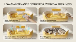 dog bed, premium dog bed, orthopedic dog bed, soft dog bed, pet bed for dogs, comfortable dog bed, washable dog bed, dog bed with cushion, premium orthopedic dog bed for large dogs, soft and comfortable dog bed with cushion, durable dog bed with PU foam support, luxury pet bed for small and medium dogs, breathable dog bed for summer and winter, stylish modern dog bed for home, lightweight dog bed easy to carry, dog bed with bone shape pillow, buy dog bed online India, best dog bed for home use, affordable premium dog bed, high quality pet bed India, dog bed under budget, cozy dog bed, luxury pet comfort bed, soft plush dog bed, designer dog bed, pet sleeping bed, dog sofa bed, dog lounger bed, pet sofa bed, round dog bed, donut dog bed, calming dog bed, anti anxiety dog bed, raised edge dog bed, bolster dog bed, dog bed with side support, dog bed with high walls, puppy bed, small dog bed, medium dog bed, large dog bed, extra large dog bed, indoor dog bed, home pet bed, dog sleeping cushion, thick padded dog bed, fluffy dog bed, soft foam dog bed, PU foam dog bed, fiber filled dog bed, eco friendly dog bed, skin friendly dog bed, hypoallergenic dog bed, non toxic pet bed, durable pet bedding, long lasting dog bed, tear resistant dog bed, chew resistant dog bed, easy to clean dog bed, machine washable pet bed, removable cover dog bed, portable dog bed, travel dog bed, foldable dog bed, lightweight pet bed, luxury dog sofa, premium pet mattress, designer pet furniture, modern pet bed, aesthetic dog bed, comfortable pet mattress, pet relaxation bed, cozy pet nest, warm dog bed for winter, cool breathable dog bed for summer, all season dog bed, anti slip base dog bed, waterproof dog bed, indoor luxury pet bed, dog bed for crate, dog bed for living room, pet accessories dog bed, best selling dog bed, trending pet products, affordable pet bedding India, online pet supplies India