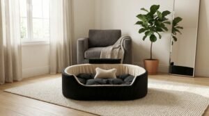 dog bed, premium dog bed, orthopedic dog bed, soft dog bed, pet bed for dogs, comfortable dog bed, washable dog bed, dog bed with cushion, premium orthopedic dog bed for large dogs, soft and comfortable dog bed with cushion, durable dog bed with PU foam support, luxury pet bed for small and medium dogs, breathable dog bed for summer and winter, stylish modern dog bed for home, lightweight dog bed easy to carry, dog bed with bone shape pillow, buy dog bed online India, best dog bed for home use, affordable premium dog bed, high quality pet bed India, dog bed under budget, cozy dog bed, luxury pet comfort bed, soft plush dog bed, designer dog bed, pet sleeping bed, dog sofa bed, dog lounger bed, pet sofa bed, round dog bed, donut dog bed, calming dog bed, anti anxiety dog bed, raised edge dog bed, bolster dog bed, dog bed with side support, dog bed with high walls, puppy bed, small dog bed, medium dog bed, large dog bed, extra large dog bed, indoor dog bed, home pet bed, dog sleeping cushion, thick padded dog bed, fluffy dog bed, soft foam dog bed, PU foam dog bed, fiber filled dog bed, eco friendly dog bed, skin friendly dog bed, hypoallergenic dog bed, non toxic pet bed, durable pet bedding, long lasting dog bed, tear resistant dog bed, chew resistant dog bed, easy to clean dog bed, machine washable pet bed, removable cover dog bed, portable dog bed, travel dog bed, foldable dog bed, lightweight pet bed, luxury dog sofa, premium pet mattress, designer pet furniture, modern pet bed, aesthetic dog bed, comfortable pet mattress, pet relaxation bed, cozy pet nest, warm dog bed for winter, cool breathable dog bed for summer, all season dog bed, anti slip base dog bed, waterproof dog bed, indoor luxury pet bed, dog bed for crate, dog bed for living room, pet accessories dog bed, best selling dog bed, trending pet products, affordable pet bedding India, online pet supplies India