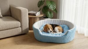 dog bed, premium dog bed, orthopedic dog bed, soft dog bed, pet bed for dogs, comfortable dog bed, washable dog bed, dog bed with cushion, premium orthopedic dog bed for large dogs, soft and comfortable dog bed with cushion, durable dog bed with PU foam support, luxury pet bed for small and medium dogs, breathable dog bed for summer and winter, stylish modern dog bed for home, lightweight dog bed easy to carry, dog bed with bone shape pillow, buy dog bed online India, best dog bed for home use, affordable premium dog bed, high quality pet bed India, dog bed under budget, cozy dog bed, luxury pet comfort bed, soft plush dog bed, designer dog bed, pet sleeping bed, dog sofa bed, dog lounger bed, pet sofa bed, round dog bed, donut dog bed, calming dog bed, anti anxiety dog bed, raised edge dog bed, bolster dog bed, dog bed with side support, dog bed with high walls, puppy bed, small dog bed, medium dog bed, large dog bed, extra large dog bed, indoor dog bed, home pet bed, dog sleeping cushion, thick padded dog bed, fluffy dog bed, soft foam dog bed, PU foam dog bed, fiber filled dog bed, eco friendly dog bed, skin friendly dog bed, hypoallergenic dog bed, non toxic pet bed, durable pet bedding, long lasting dog bed, tear resistant dog bed, chew resistant dog bed, easy to clean dog bed, machine washable pet bed, removable cover dog bed, portable dog bed, travel dog bed, foldable dog bed, lightweight pet bed, luxury dog sofa, premium pet mattress, designer pet furniture, modern pet bed, aesthetic dog bed, comfortable pet mattress, pet relaxation bed, cozy pet nest, warm dog bed for winter, cool breathable dog bed for summer, all season dog bed, anti slip base dog bed, waterproof dog bed, indoor luxury pet bed, dog bed for crate, dog bed for living room, pet accessories dog bed, best selling dog bed, trending pet products, affordable pet bedding India, online pet supplies India