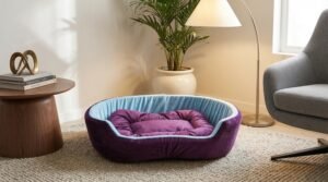 dog bed, premium dog bed, orthopedic dog bed, soft dog bed, pet bed for dogs, comfortable dog bed, washable dog bed, dog bed with cushion, premium orthopedic dog bed for large dogs, soft and comfortable dog bed with cushion, durable dog bed with PU foam support, luxury pet bed for small and medium dogs, breathable dog bed for summer and winter, stylish modern dog bed for home, lightweight dog bed easy to carry, dog bed with bone shape pillow, buy dog bed online India, best dog bed for home use, affordable premium dog bed, high quality pet bed India, dog bed under budget, cozy dog bed, luxury pet comfort bed, soft plush dog bed, designer dog bed, pet sleeping bed, dog sofa bed, dog lounger bed, pet sofa bed, round dog bed, donut dog bed, calming dog bed, anti anxiety dog bed, raised edge dog bed, bolster dog bed, dog bed with side support, dog bed with high walls, puppy bed, small dog bed, medium dog bed, large dog bed, extra large dog bed, indoor dog bed, home pet bed, dog sleeping cushion, thick padded dog bed, fluffy dog bed, soft foam dog bed, PU foam dog bed, fiber filled dog bed, eco friendly dog bed, skin friendly dog bed, hypoallergenic dog bed, non toxic pet bed, durable pet bedding, long lasting dog bed, tear resistant dog bed, chew resistant dog bed, easy to clean dog bed, machine washable pet bed, removable cover dog bed, portable dog bed, travel dog bed, foldable dog bed, lightweight pet bed, luxury dog sofa, premium pet mattress, designer pet furniture, modern pet bed, aesthetic dog bed, comfortable pet mattress, pet relaxation bed, cozy pet nest, warm dog bed for winter, cool breathable dog bed for summer, all season dog bed, anti slip base dog bed, waterproof dog bed, indoor luxury pet bed, dog bed for crate, dog bed for living room, pet accessories dog bed, best selling dog bed, trending pet products, affordable pet bedding India, online pet supplies India