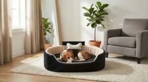 dog bed, premium dog bed, orthopedic dog bed, soft dog bed, pet bed for dogs, comfortable dog bed, washable dog bed, dog bed with cushion, premium orthopedic dog bed for large dogs, soft and comfortable dog bed with cushion, durable dog bed with PU foam support, luxury pet bed for small and medium dogs, breathable dog bed for summer and winter, stylish modern dog bed for home, lightweight dog bed easy to carry, dog bed with bone shape pillow, buy dog bed online India, best dog bed for home use, affordable premium dog bed, high quality pet bed India, dog bed under budget, cozy dog bed, luxury pet comfort bed, soft plush dog bed, designer dog bed, pet sleeping bed, dog sofa bed, dog lounger bed, pet sofa bed, round dog bed, donut dog bed, calming dog bed, anti anxiety dog bed, raised edge dog bed, bolster dog bed, dog bed with side support, dog bed with high walls, puppy bed, small dog bed, medium dog bed, large dog bed, extra large dog bed, indoor dog bed, home pet bed, dog sleeping cushion, thick padded dog bed, fluffy dog bed, soft foam dog bed, PU foam dog bed, fiber filled dog bed, eco friendly dog bed, skin friendly dog bed, hypoallergenic dog bed, non toxic pet bed, durable pet bedding, long lasting dog bed, tear resistant dog bed, chew resistant dog bed, easy to clean dog bed, machine washable pet bed, removable cover dog bed, portable dog bed, travel dog bed, foldable dog bed, lightweight pet bed, luxury dog sofa, premium pet mattress, designer pet furniture, modern pet bed, aesthetic dog bed, comfortable pet mattress, pet relaxation bed, cozy pet nest, warm dog bed for winter, cool breathable dog bed for summer, all season dog bed, anti slip base dog bed, waterproof dog bed, indoor luxury pet bed, dog bed for crate, dog bed for living room, pet accessories dog bed, best selling dog bed, trending pet products, affordable pet bedding India, online pet supplies India