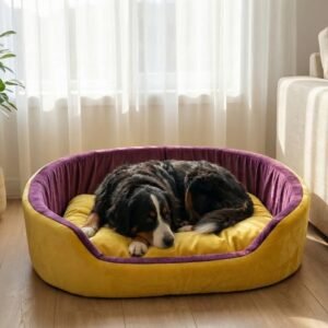 dog bed, premium dog bed, orthopedic dog bed, soft dog bed, pet bed for dogs, comfortable dog bed, washable dog bed, dog bed with cushion, premium orthopedic dog bed for large dogs, soft and comfortable dog bed with cushion, durable dog bed with PU foam support, luxury pet bed for small and medium dogs, breathable dog bed for summer and winter, stylish modern dog bed for home, lightweight dog bed easy to carry, dog bed with bone shape pillow, buy dog bed online India, best dog bed for home use, affordable premium dog bed, high quality pet bed India, dog bed under budget, cozy dog bed, luxury pet comfort bed, soft plush dog bed, designer dog bed, pet sleeping bed, dog sofa bed, dog lounger bed, pet sofa bed, round dog bed, donut dog bed, calming dog bed, anti anxiety dog bed, raised edge dog bed, bolster dog bed, dog bed with side support, dog bed with high walls, puppy bed, small dog bed, medium dog bed, large dog bed, extra large dog bed, indoor dog bed, home pet bed, dog sleeping cushion, thick padded dog bed, fluffy dog bed, soft foam dog bed, PU foam dog bed, fiber filled dog bed, eco friendly dog bed, skin friendly dog bed, hypoallergenic dog bed, non toxic pet bed, durable pet bedding, long lasting dog bed, tear resistant dog bed, chew resistant dog bed, easy to clean dog bed, machine washable pet bed, removable cover dog bed, portable dog bed, travel dog bed, foldable dog bed, lightweight pet bed, luxury dog sofa, premium pet mattress, designer pet furniture, modern pet bed, aesthetic dog bed, comfortable pet mattress, pet relaxation bed, cozy pet nest, warm dog bed for winter, cool breathable dog bed for summer, all season dog bed, anti slip base dog bed, waterproof dog bed, indoor luxury pet bed, dog bed for crate, dog bed for living room, pet accessories dog bed, best selling dog bed, trending pet products, affordable pet bedding India, online pet supplies India